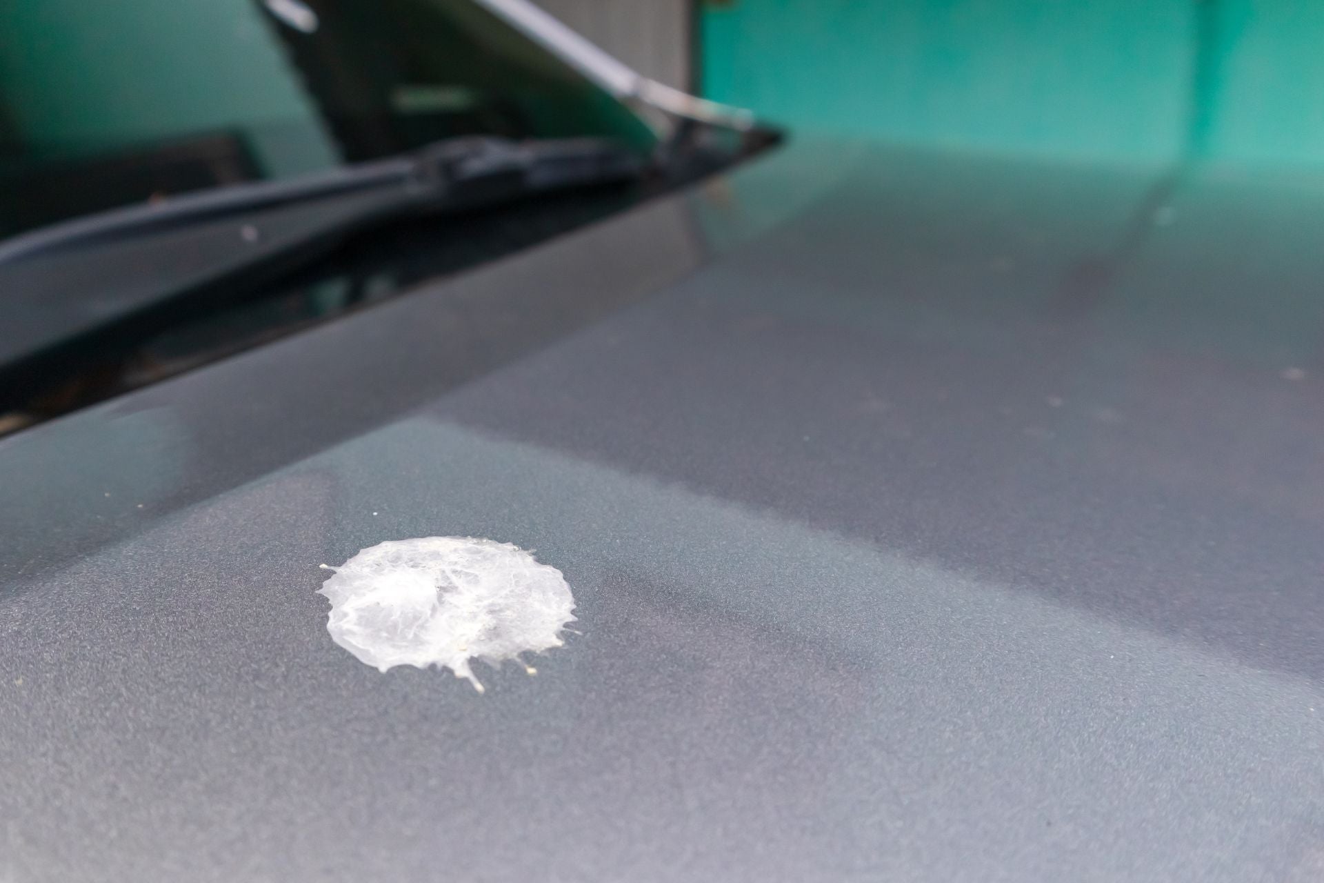 Vogelkot auf dem Autolack